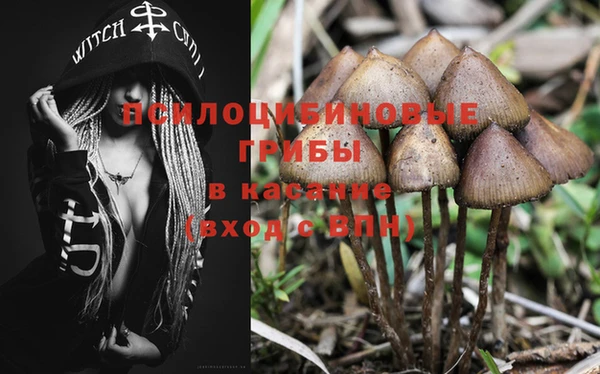 стаф Алексеевка