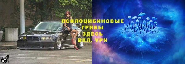 шишки Алексин
