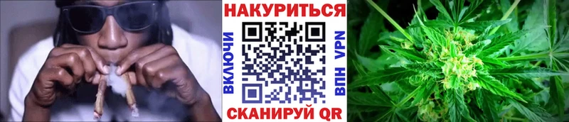 купить   Дмитров  Канабис план 